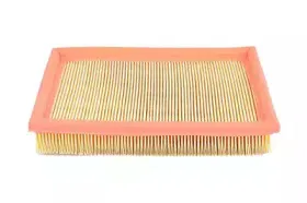 Воздушный фильтр BSG купить